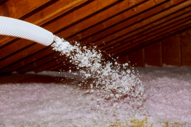 Best Geographic-Specific Insulation Services in Waxhaw, NC