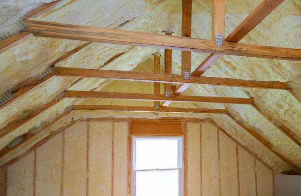 Best Specialized Insulation Services in Waxhaw, NC